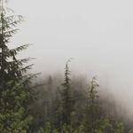 Colleen Kreiger Profile Picture