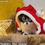 Geovanny Reinger Profile Picture