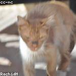 Carmella Hettinger Profile Picture