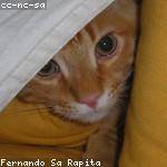 Antonette Nienow Profile Picture