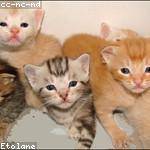 Lucy Paucek Profile Picture