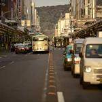 Delpha Stracke Profile Picture