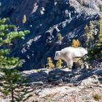 Jocelyn Spencer Profile Picture