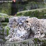 Grace Harris Profile Picture