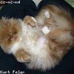 Harmon Goodwin Profile Picture