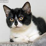 Beryl Kuvalis Profile Picture