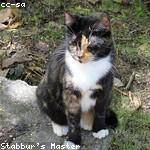 Gay Walsh Profile Picture