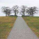 Talon Pacocha Profile Picture