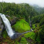 Rylee Gislason Profile Picture