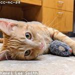 Emmanuelle Kirlin Profile Picture