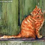 Marlin Abshire Profile Picture