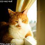 Jace Effertz Profile Picture