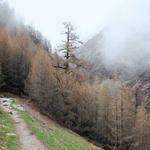 Dusty Kirlin Profile Picture