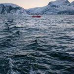 Adolfo Simonis Profile Picture