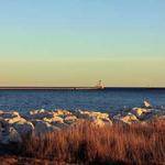 Kailyn Vandervort Profile Picture