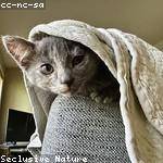 Meredith Hayes Profile Picture