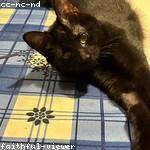 Haleigh Heidenreich Profile Picture