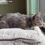 Laurel Runolfsson Profile Picture