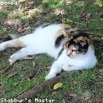 Tanya Cummings Profile Picture