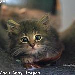 Desiree Pagac Profile Picture