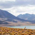 America Osinski Profile Picture