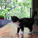 Winnifred Runte Profile Picture