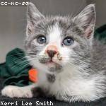 Deven Schaefer Profile Picture