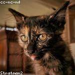 Kylie Kunde Profile Picture