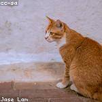 Jedidiah Wehner Profile Picture