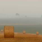 Tyrique Kreiger Profile Picture