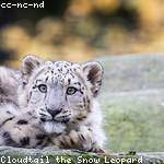 Christy Miller Profile Picture