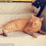 Freeman Berge Profile Picture