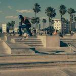 Orion Stark Profile Picture