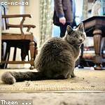 Summer Hackett Profile Picture