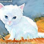 Casimer Braun Profile Picture