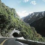 Rosetta Ondricka Profile Picture