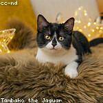 Evie Tromp Profile Picture