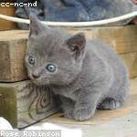 Jena Price Profile Picture