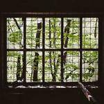 Hailee Bashirian Profile Picture