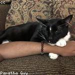 Maya Nitzsche Profile Picture