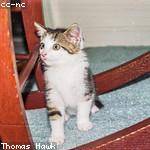 Lynn Turcotte Profile Picture