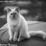 Jayme Rosenbaum Profile Picture