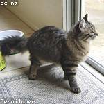 Estel Bahringer Profile Picture