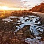 Maggie Mraz Profile Picture