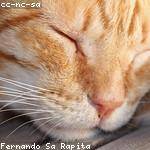 Pearl Harvey Profile Picture