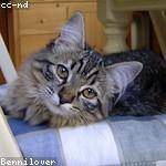 Billie Ondricka Profile Picture