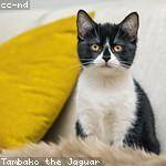 Dakota Langworth Profile Picture