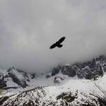 Eloisa Tremblay Profile Picture