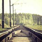 Gregorio Buckridge Profile Picture