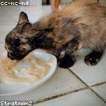 Janis Carroll Profile Picture